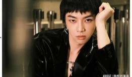 刘大锤爆料华晨宇视频,揭秘明星幕后生活瞬间